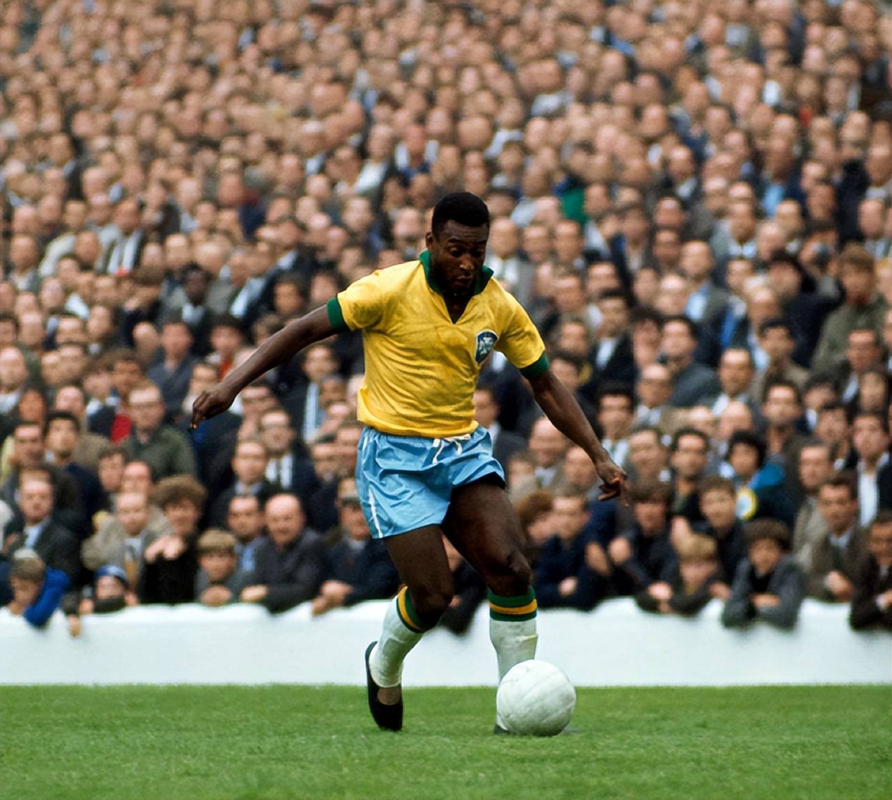 近200名精英骑手相聚成都东安湖 国际马联二星级赛事开赛